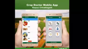 IGKV develops crop doctor app; now solutions to crop problems at fingertips